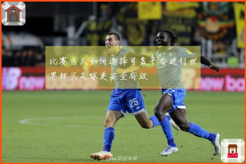 比赛当天如何选择可靠平台进行世界杯买足球更安全有效