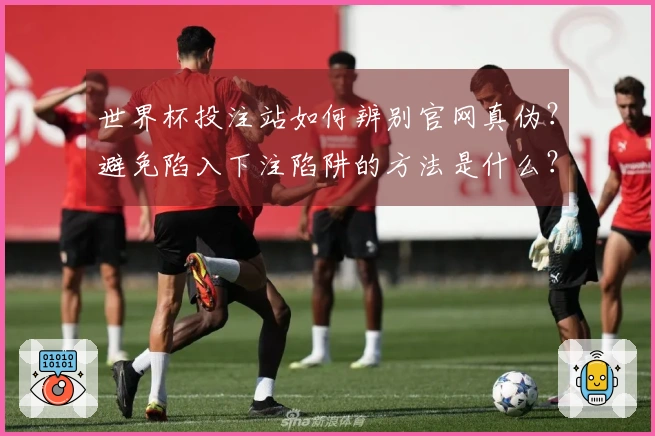 世界杯投注站如何辨别官网真伪？避免陷入下注陷阱的方法是什么？
